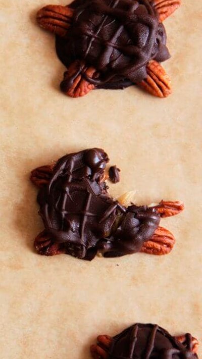 choco schildpad